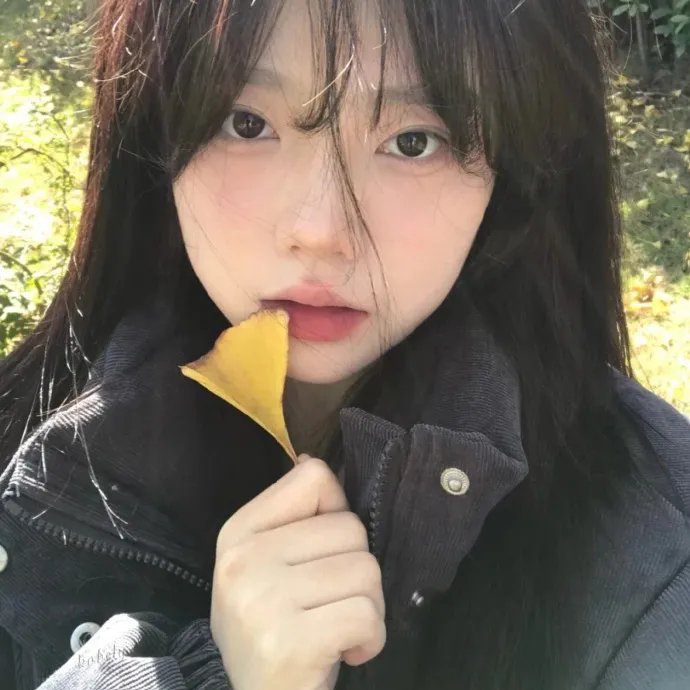 你好,来了